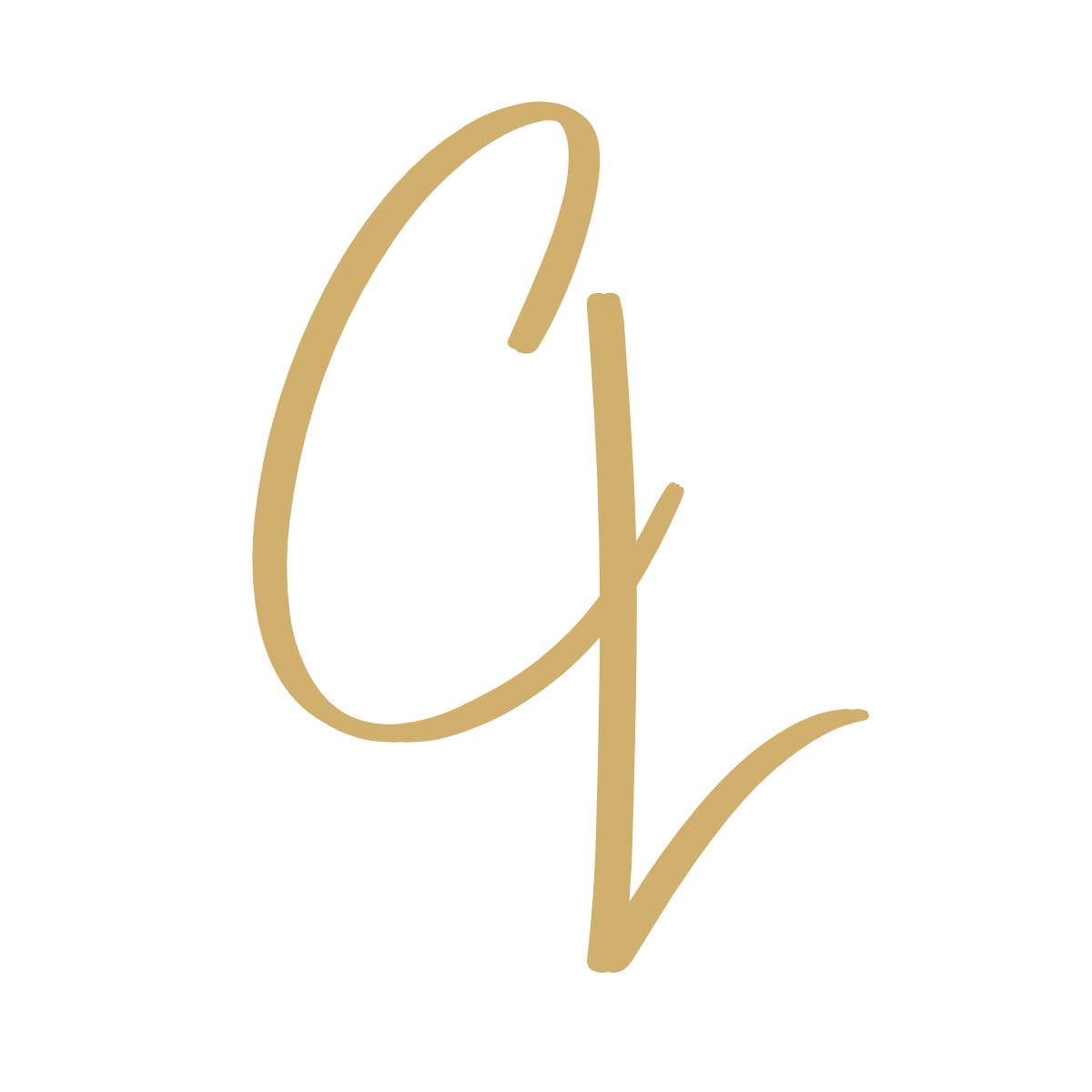 logo initiales charles limousines